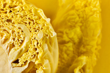 Detail of savoy cabbage , winter vegetable