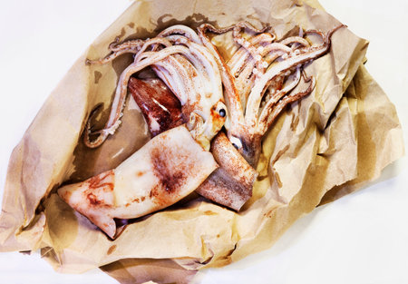 Fresh uncooked flying squid fish on brown paper ,uncooked fish