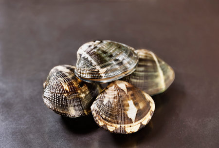 Uncooked fresh clams on black background ,edible bivalve mollusc ,の写真素材