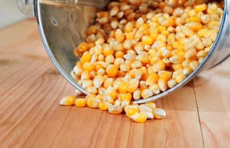 Yellow corn maize in bowl, uncooked cereal grainsの写真素材