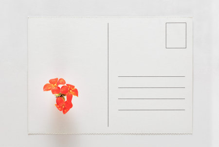 Empty postcard with orange flower on white table, love emotion in couple relationship, sweet...