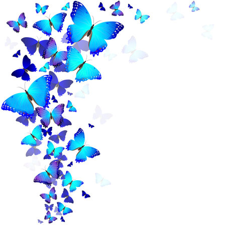 beautiful blue butterfliesのイラスト素材