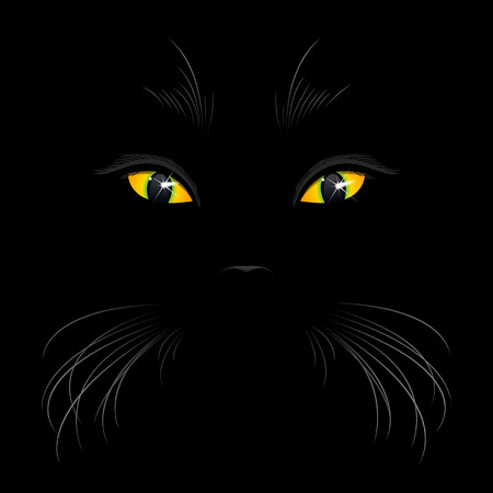 cat eyes on black backgroundのイラスト素材