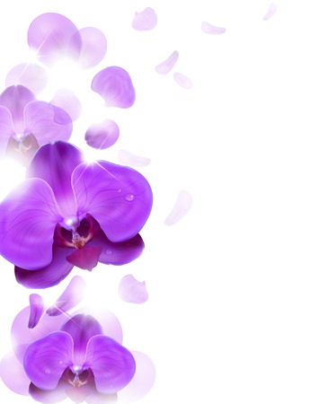 floral background of purple orchidsのイラスト素材