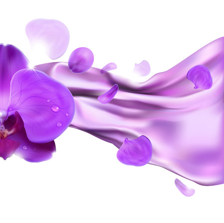 orchid on the background fabric foldsのイラスト素材
