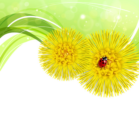 Spring floral background with coltsfoot and ladybugのイラスト素材