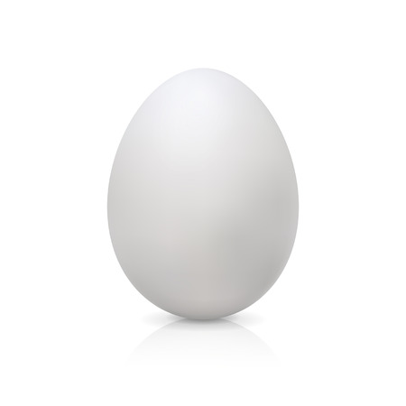 white egg on a white backgroundのイラスト素材
