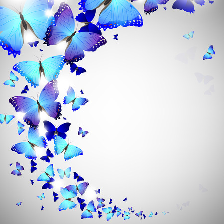 blue butterfly on a light backgroundのイラスト素材
