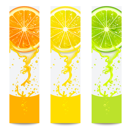 banners with fresh citrus fruit on a white backgroundのイラスト素材