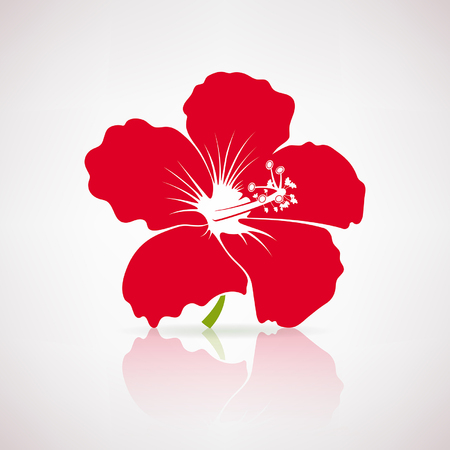 Red hibiscus flower on a light backgroundのイラスト素材