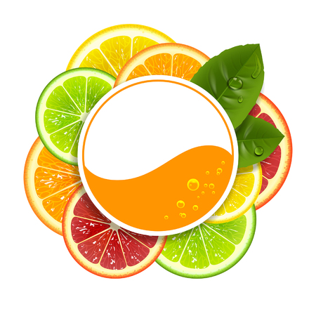 round banner with citrus fruit on a white backgroundのイラスト素材
