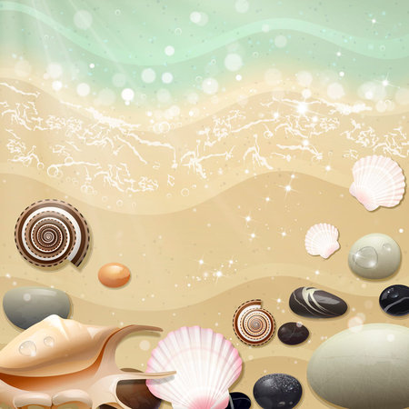 summer sea beach with shells and pebblesのイラスト素材
