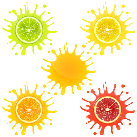 citrus fruit in splashes of juice on a white backgroundのイラスト素材