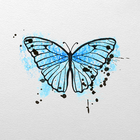 stylized blue butterfly painted by  ink and oil pastelsのイラスト素材