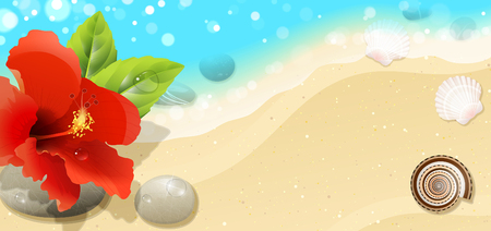 sea background with red hibiscus and seashellsのイラスト素材