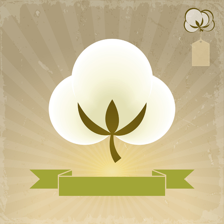 banner cotton flower on a retro backgroundのイラスト素材