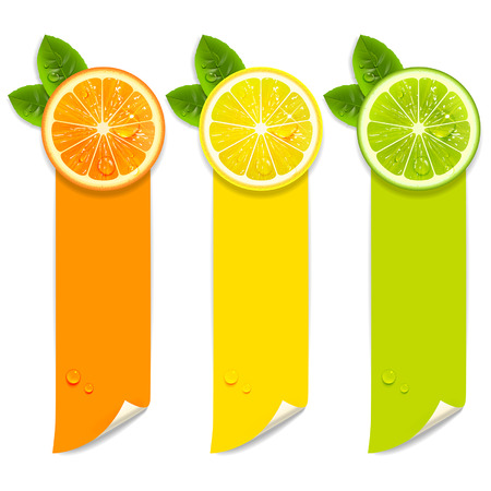 banners with orange, lemon and lime on a white backgroundのイラスト素材