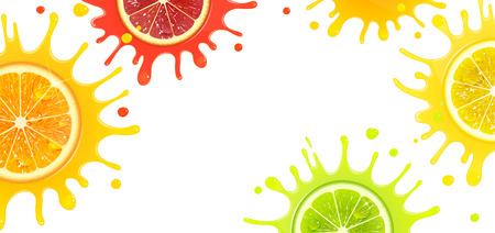 banner with citrus fruits and splash juice on a white backgroundのイラスト素材