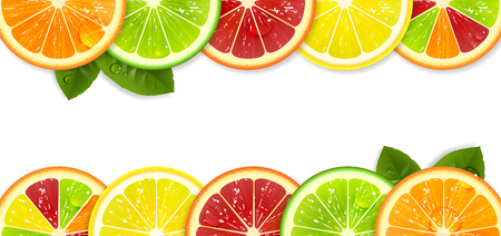 banner with bright citrus fruits on a white backgroundのイラスト素材