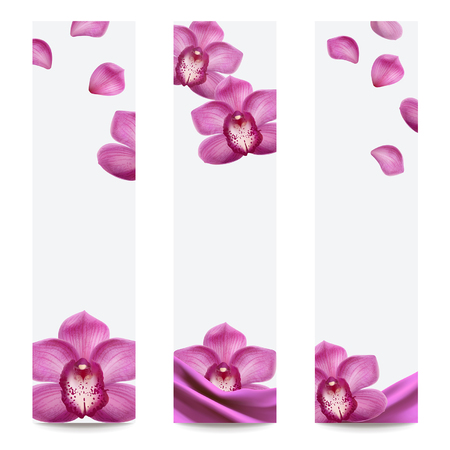 orchids purple banners set on a white backgroundのイラスト素材