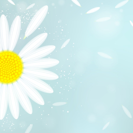 camomile white on a blue backgroundのイラスト素材