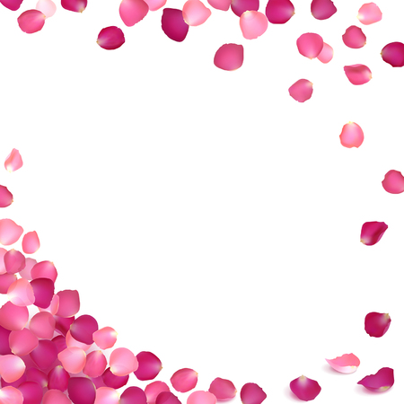 banner of pink rose petals on a white backgroundのイラスト素材