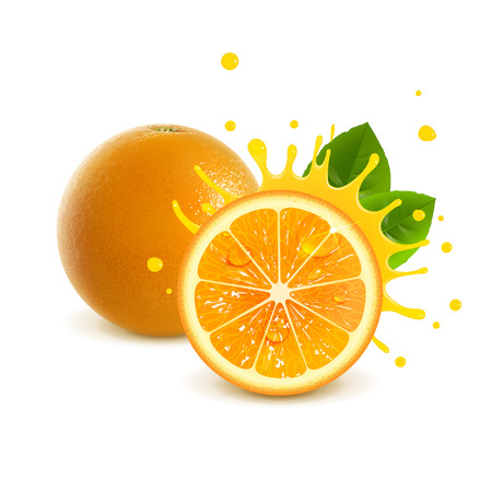 juicy whole orange and half orange on white backgroundのイラスト素材