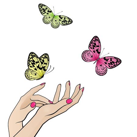 female hands with flying colorful butterflies on white backgroundのイラスト素材
