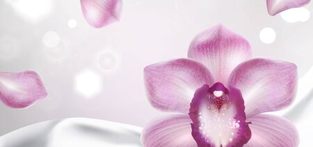 purple orchid on a white satin fabric background  and petalsのイラスト素材