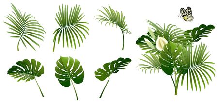 set of branches of tropical plants and a butterfly on white backgroundのイラスト素材