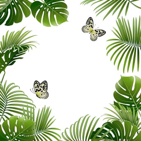 banner of tropical plants and butterflies on a white backgroundのイラスト素材
