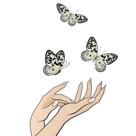 beautiful female hands release a flock of butterflies on a white backgroundのイラスト素材