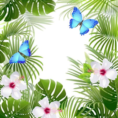 background with tropical plants and blue butterfliesのイラスト素材