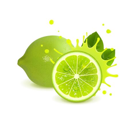 juicy whole lime and half lime on white backgroundのイラスト素材