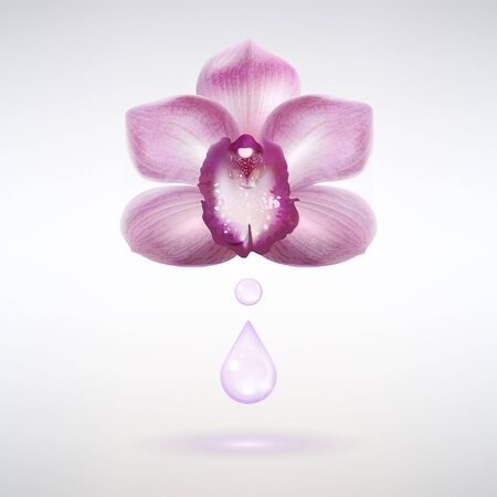 Orchid flower with a drop of essential oil on whiteのイラスト素材