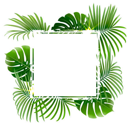banner with tropical plants and palm branches on a white backgroundのイラスト素材