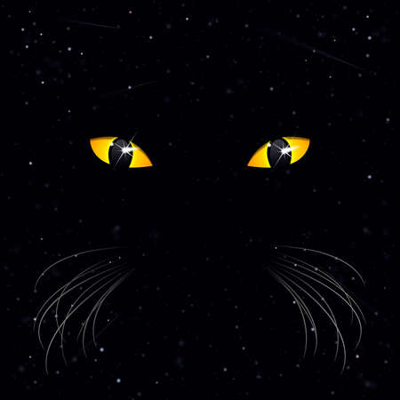 mysterious eyes of a cat on a background of spaceのイラスト素材