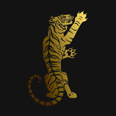 golden tiger on black backgroundのイラスト素材