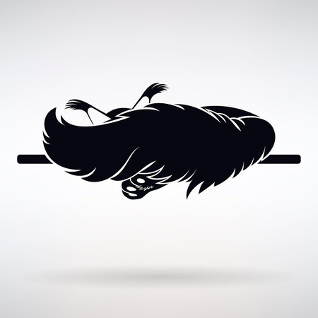 Maine Coon cat sleeps covered with a fluffy tail on a light backgroundのイラスト素材
