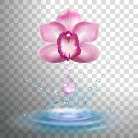 orchid flower with a drop of aromatic oil and a splash of refreshing water on a transparent backgroundのイラスト素材