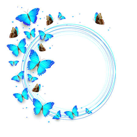 flock of blue flying butterflies on a white backgroundのイラスト素材