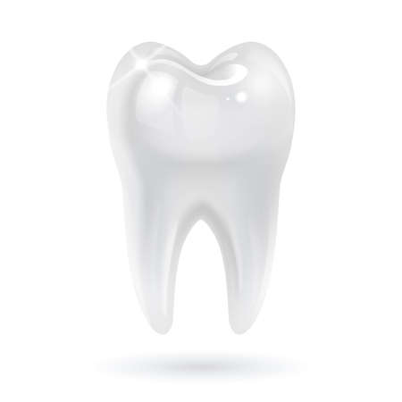 white tooth on white backgroundのイラスト素材