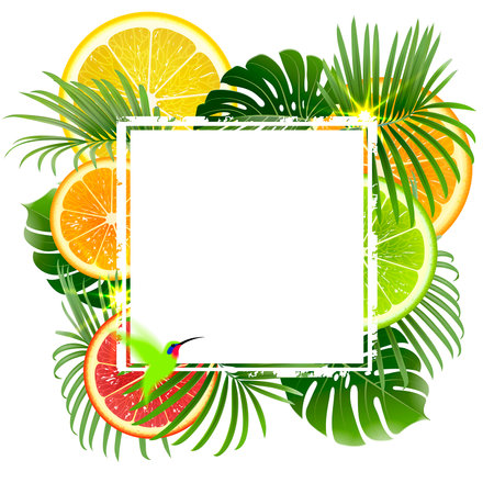 white banner on a background of tropical plants and citrus fruits with a green hummingbirdのイラスト素材