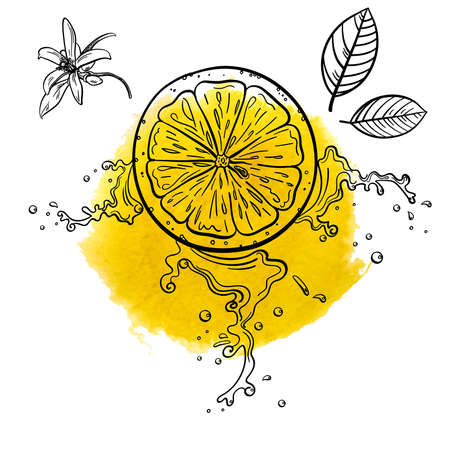 juicy orange with a splash of juice on a white backgroundのイラスト素材