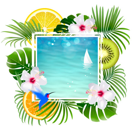 tropical banner with tropical fruits and plants on a white backgroundのイラスト素材