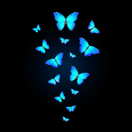 flock of bright blue butterflies on a black backgroundのイラスト素材