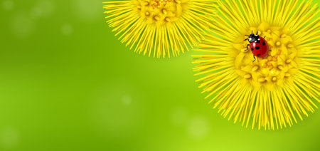 horizontal background with spring yellow flowers and ladybugのイラスト素材