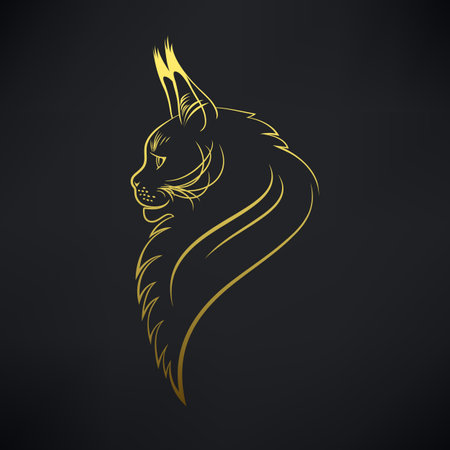 portrait of Maine Coon golden color in profile on a black backgroundのイラスト素材