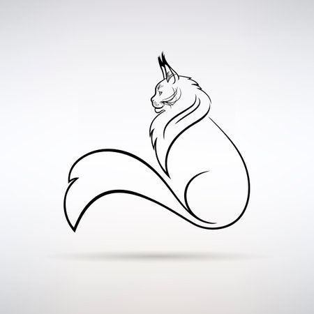 Maine Coon cat silhouette icon on a light backgroundのイラスト素材