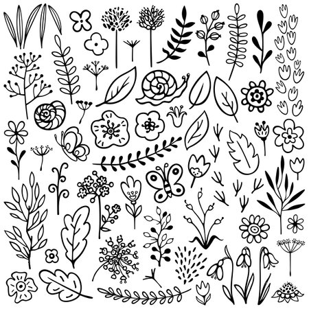 set of vector plants and flowers drawn by hand on a white backgroundのイラスト素材